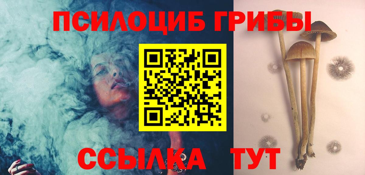 Дербент  Псилоцибиновые грибы GOLDEN TEACHER  Вход с VPN 